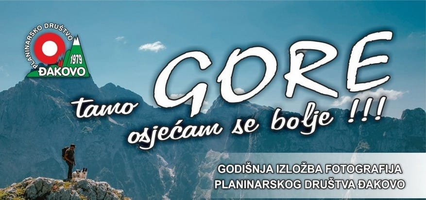 Godišnja izložba slika