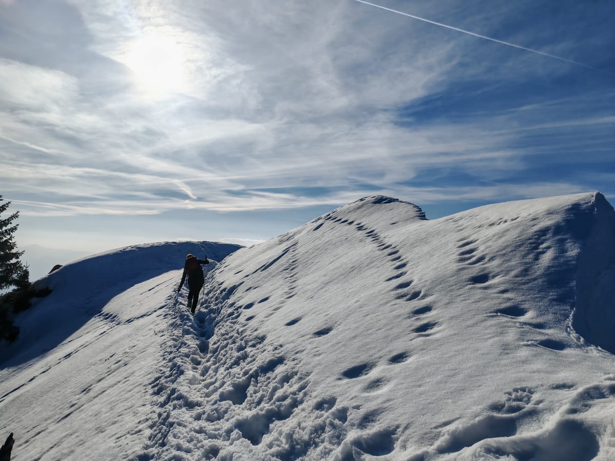 Tolsti vrh - Kriška Gora