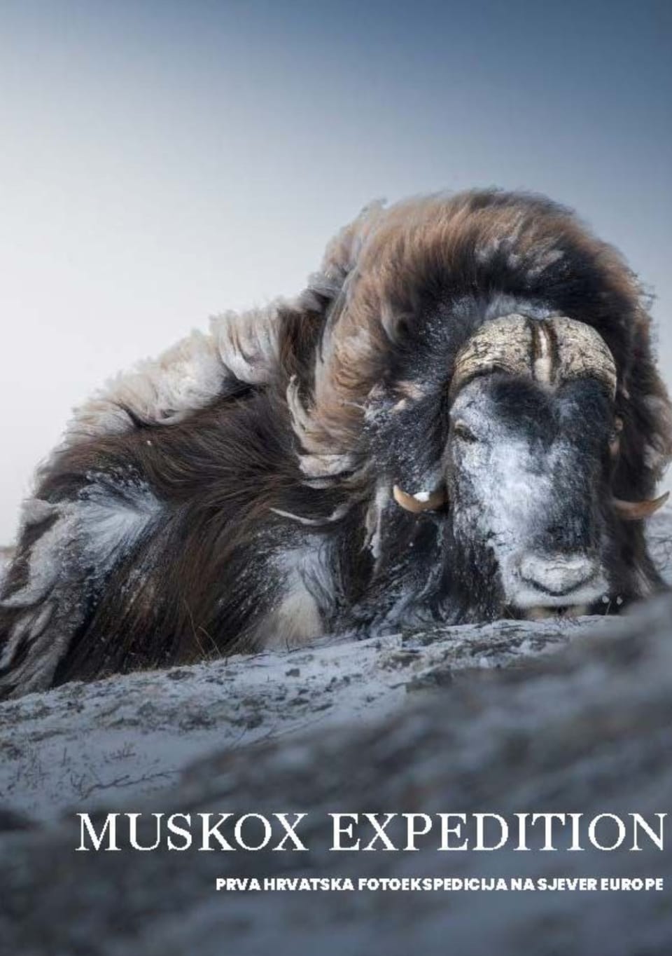 Prezentacija Muskox Expedition