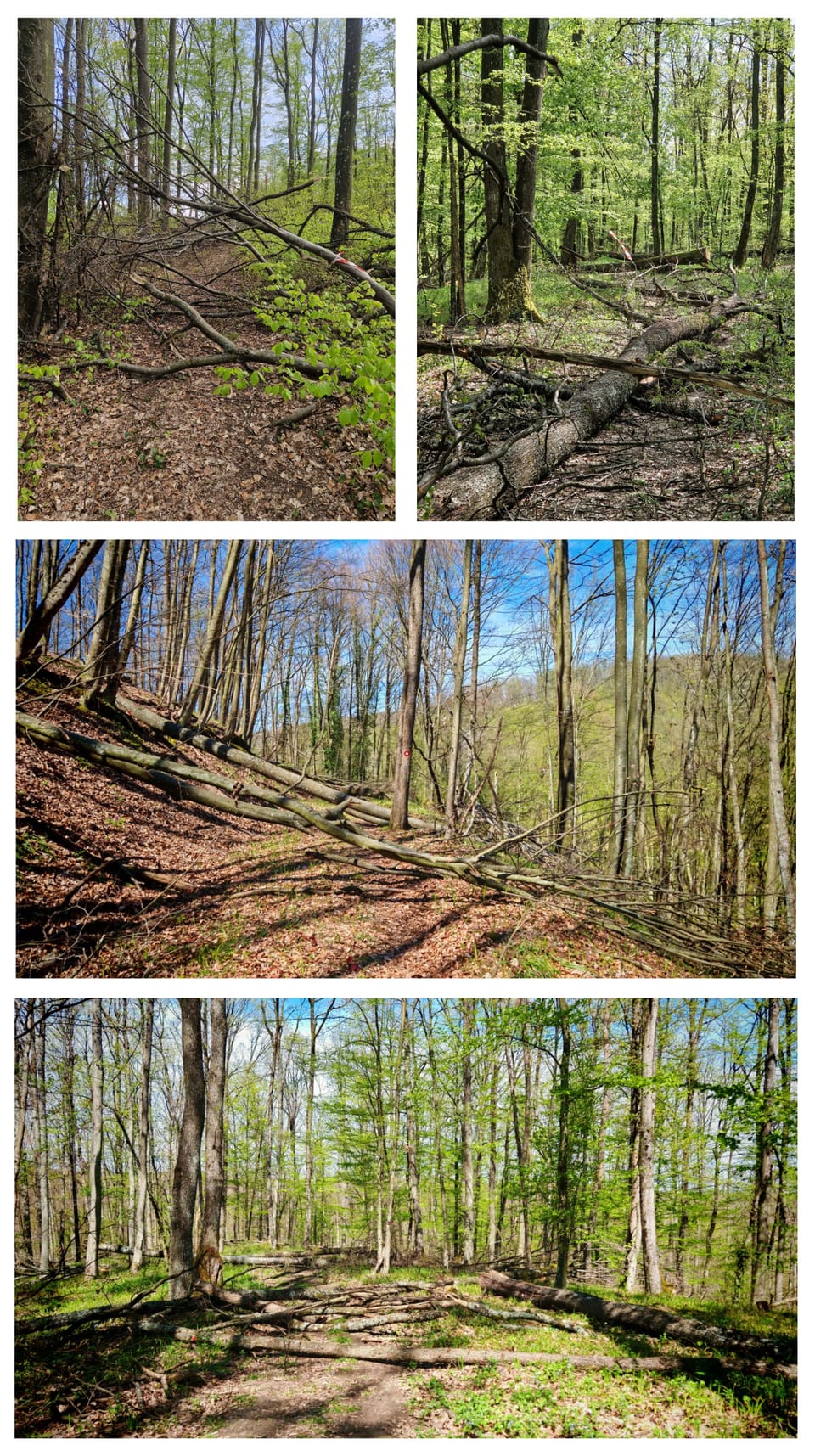 OBAVIJEST - STAZA 3 KRALJA